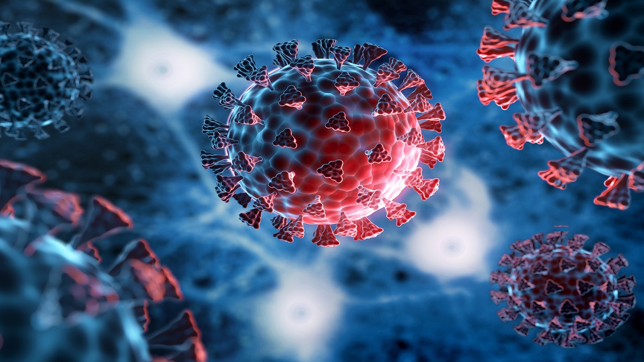 Public Health and Perception