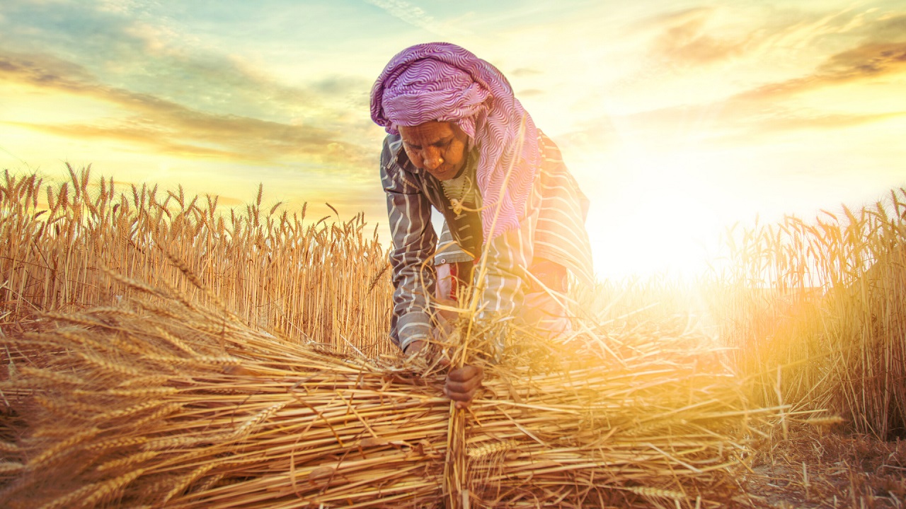 Empowering the Woman Farmer