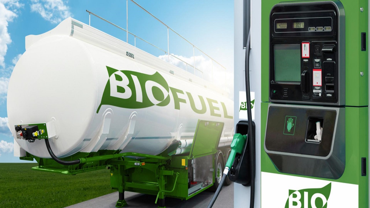 Biofuels and Energy Security